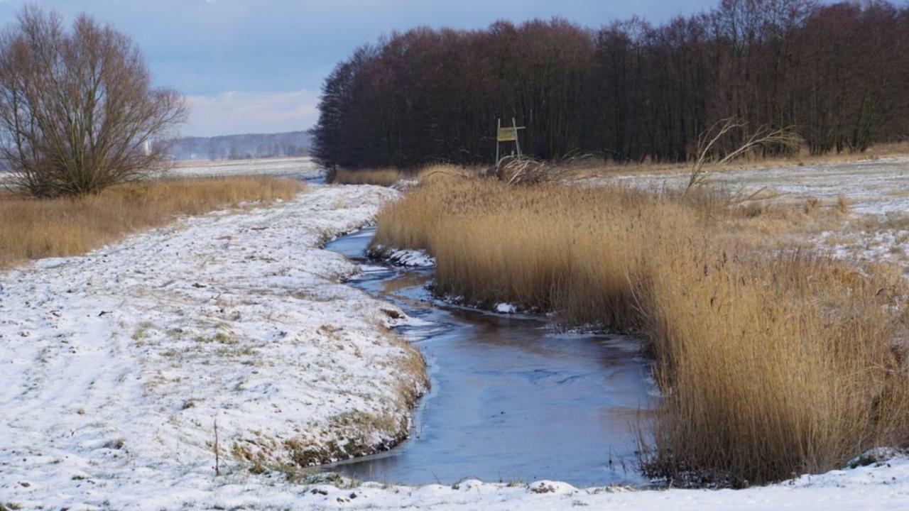 Fischerhus In Krummin - Nur Fuer Urlauber Экстерьер фото